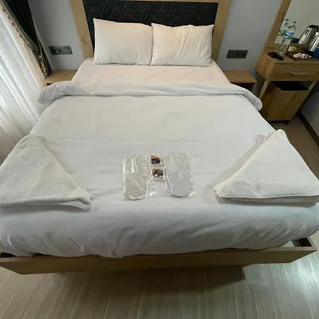 Hotel Golden Metro Boutique *