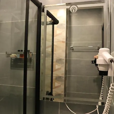 Hotel Ortek Taksim *