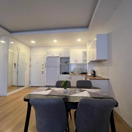 Cozy Homes 1 1 Living Apartment Istanbul