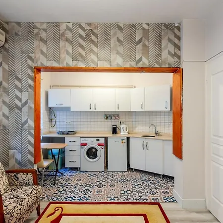 In The Center Of Taksim And Galataport 2 Bedrooms And 1 Living In Apartment