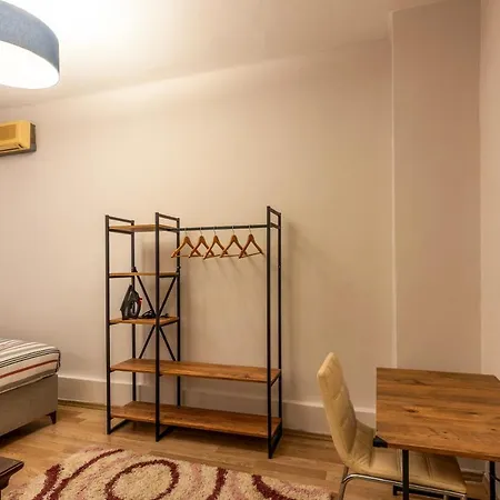 Apartment In The Center Of Taksim And Galataport 2 Bedrooms And 1 Living In *