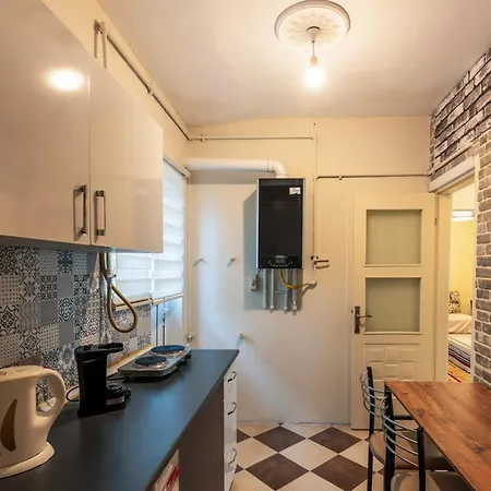In The Center Of Taksim And Galataport 3 Bedrooms And 1 Living In *