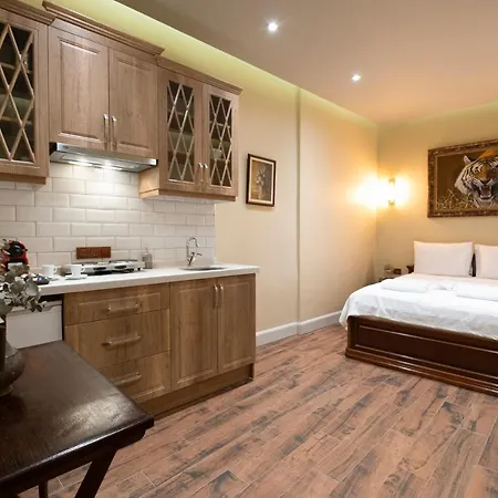 Level Suites - 103 * Provincia di Istanbul