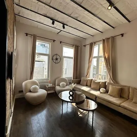 3+1 Luxury Design Near Galata Apartment Istanbul