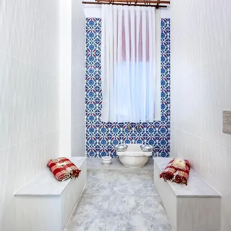Historical Apt. With Galata Sea View/turkish Hamam Apartment Istanbul