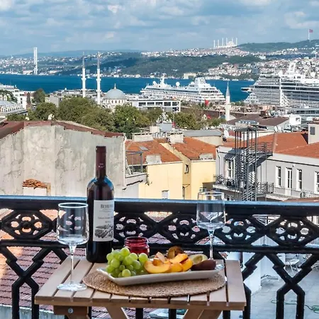Historical Apt. With Galata Sea View/turkish Hamam Apartment