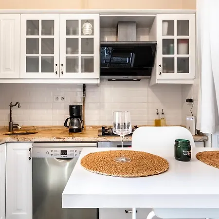 Historical Apt. With Galata Sea View/turkish Hamam