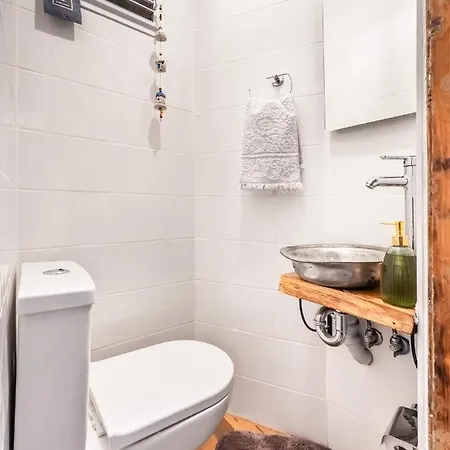 Apartment Historical Apt. With Galata Sea View/turkish Hamam