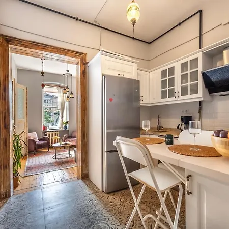Historical Apt. With Galata Sea View/turkish Hamam Apartment Istanbul