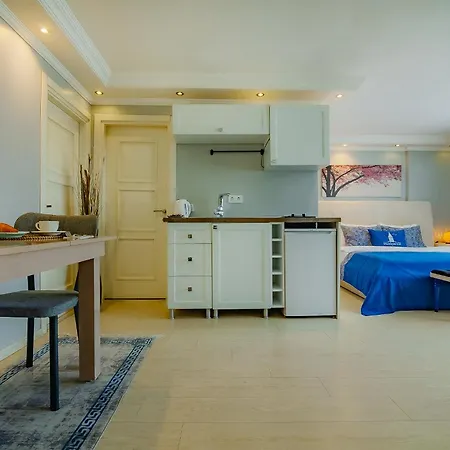 Galataport Flat Company 2* Istanbul
