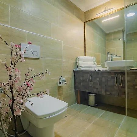 Galataport Flat Company 2* Istanbul