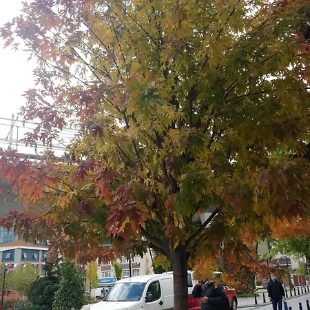 Canpi Homes Istanbul