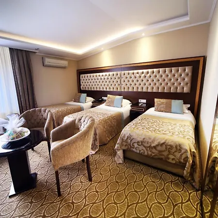 The Parma Downtown 4*