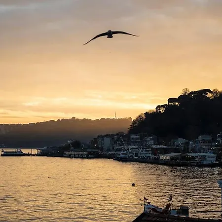 Apartamento Magnificent Mansion W/view Bosphorus&jacuzzi Estambul
