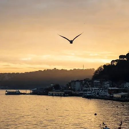 Apartamento Magnificent Mansion W/view Bosphorus&jacuzzi *