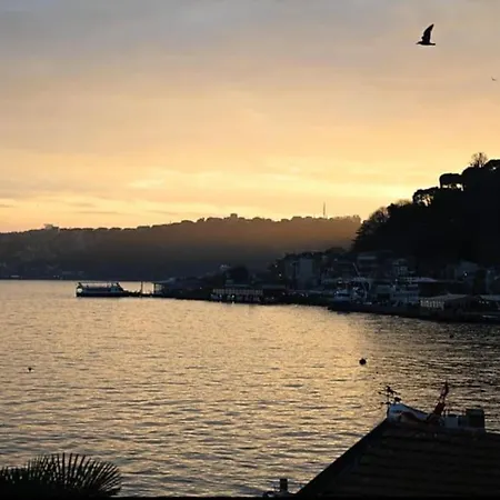 Magnificent Mansion W/view Bosphorus&jacuzzi * Estambul