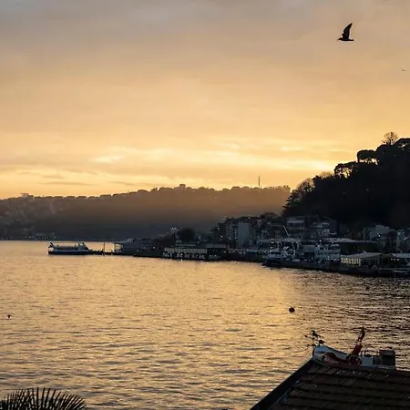 Magnificent Mansion W/view Bosphorus&jacuzzi Apartamento