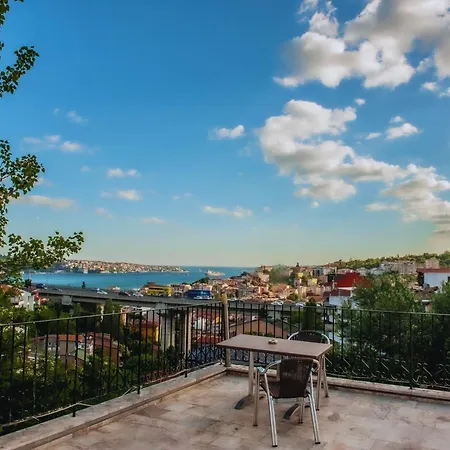 Yesim Suit Istanbul