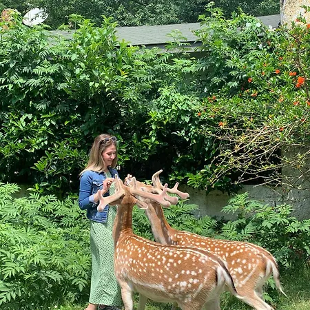Polonezkoey Country Club & In The Wildlife Park! 3* İstanbul