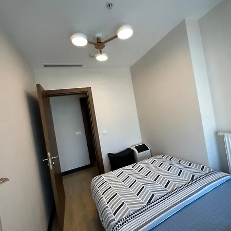 Stylish Flat-eagle Eye For