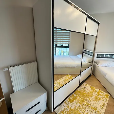 Stylish Flat-eagle Eye For