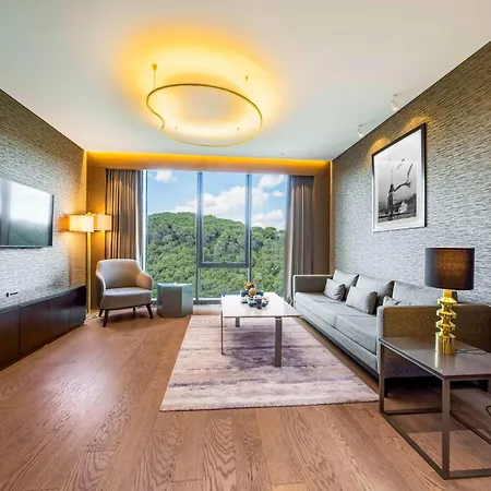 Hotel Radisson Collection Hotel, Vadistanbul Estambul