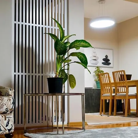 Meet Your Oasis