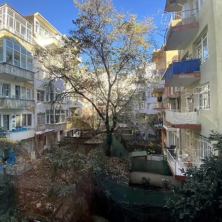 Meet Your Oasis Istanbul