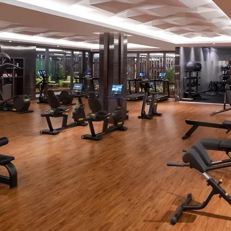 Hotel Moevenpick Airport 5*