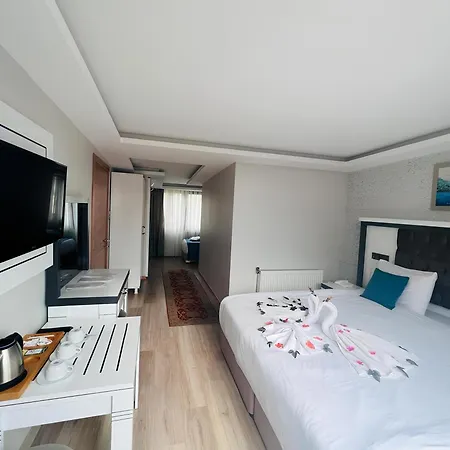 Maritime Hotel Istanbul
