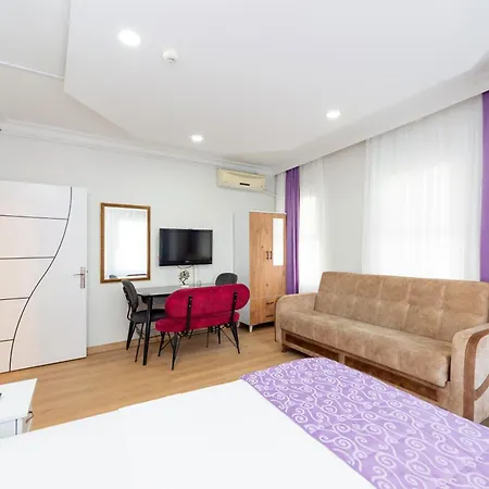 Hotel Old House *