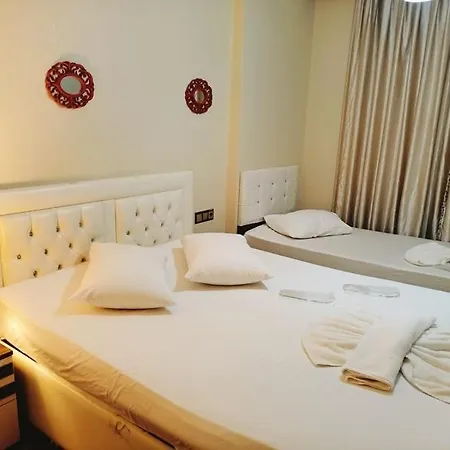 酒店 Dogan Palace 4*