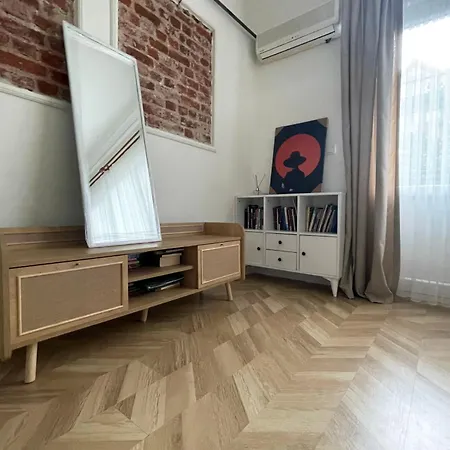 Appartement 2br And 2bath Balcony In Heart Of Isatanbul #3 Istanboel