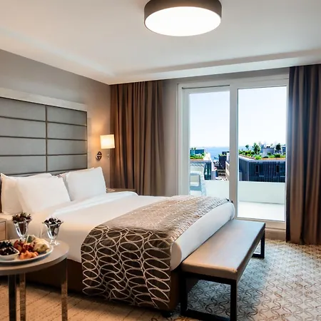 Nidya Galataport 4* Istanbulská provincie