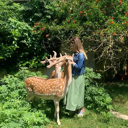 Polonezkoey Country Club & In The Wildlife Park! Resort İstanbul