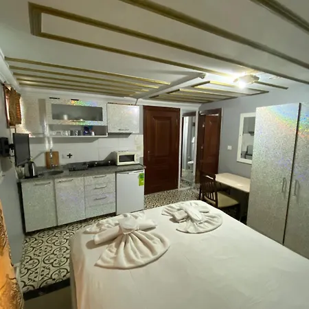 Apartment Sophia Studio Apart Istanbul