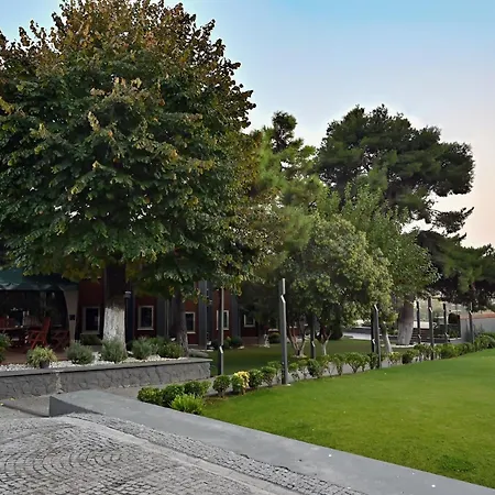 Denizati *