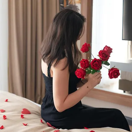 Four Sides Taksim Lion Hotel&spa Otel 4*