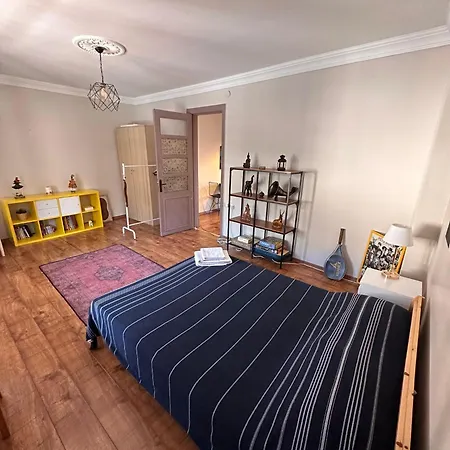 Historic Wooden House With Bosphorus View * Istanbul