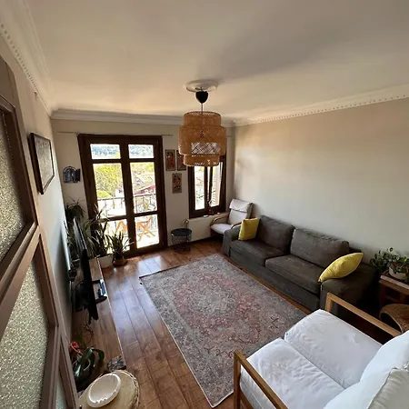 Historic Wooden House With Bosphorus View Apartment *