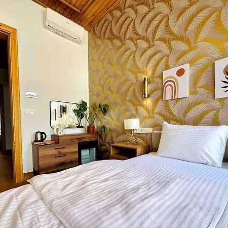 Refurbished Triplex In Taksim イスタンブール