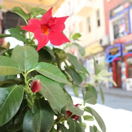 Ayyildizlar Hotel 3*
