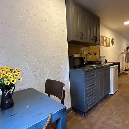 Casa Mirasol Terrace Golden Horn Apartment Istanbul