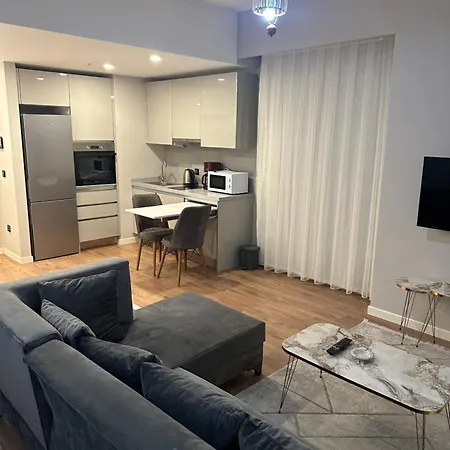 Toya Next Project, Istanbul, Turkey Apartment *