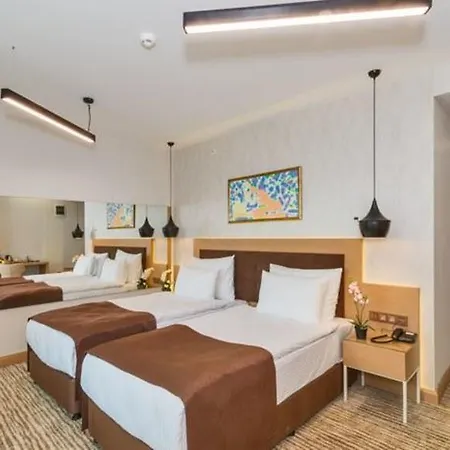 Hotel Boursier 1 & Provincia di Istanbul