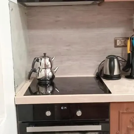 Aslan Apartment *