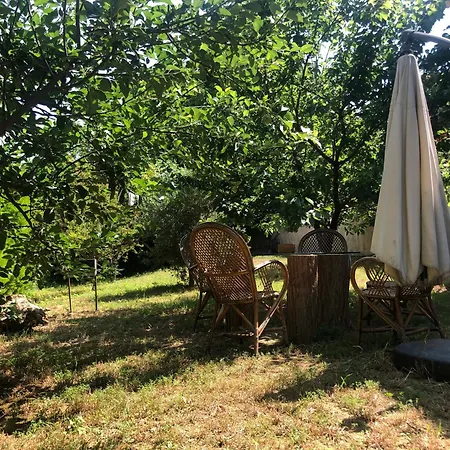 Garden House Daire
