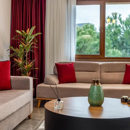Baymari Design Florya Istanbul