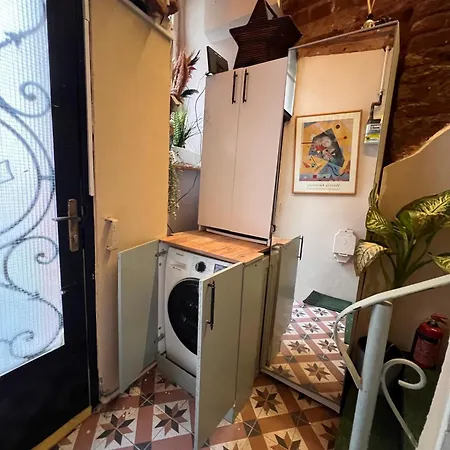 Historical Dublex In Center Of Taksim Apartment *