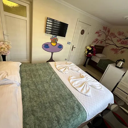 Sultanahmet Blue Hotel Istanbul